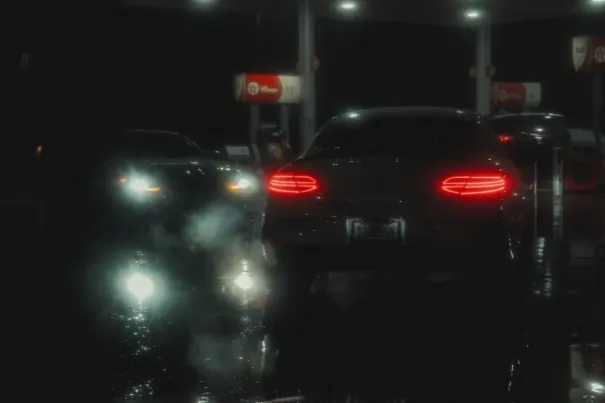 Casino Dove Bingo Android/iOS Forrit